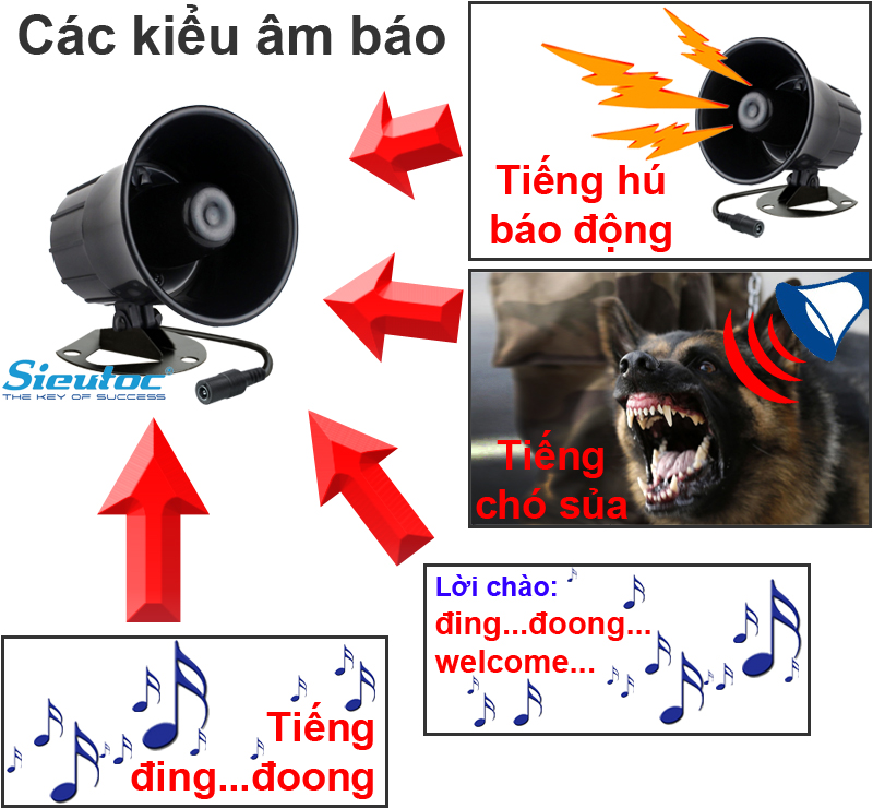 Các kiểu âm báo của KM-T60