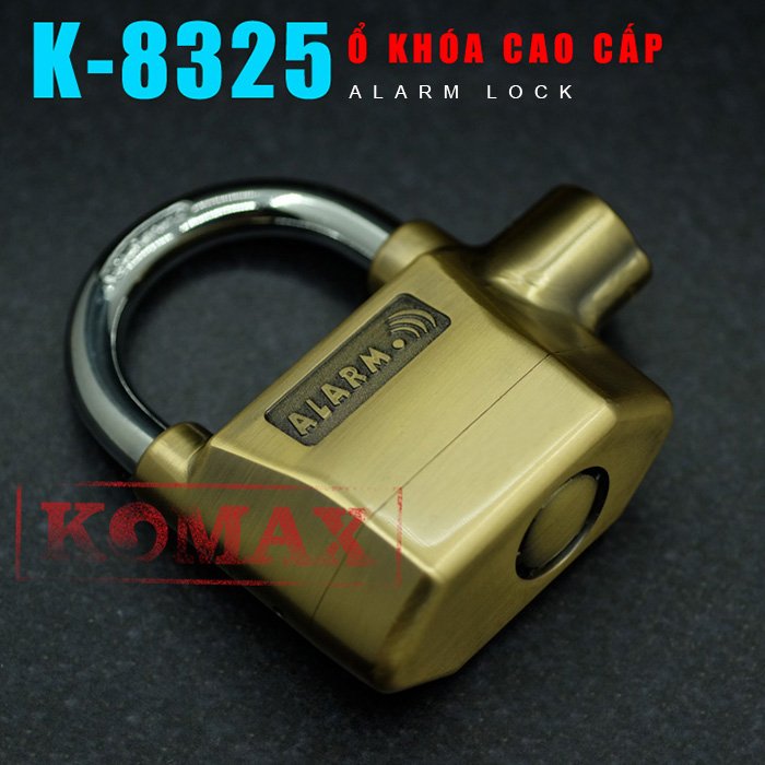 Ổ khóa chống trộm 2 lõi bi K-8325